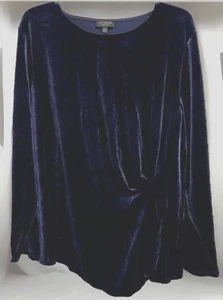 The Limited Velvet Tunic Blouse Top Blue Long Sleeve Crew Neck Side 2X - Picture 1 of 6