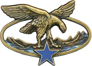 Brevet Spécialité Troupes de Montagne, bronze, dos lisse, Ballard 2465 (10087) - Picture 1 of 2