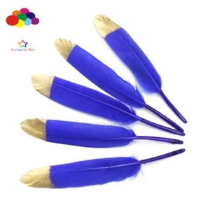 10Pcs Mixing Gold Head Duck Feather Dyded 5-7Inch/13-16cm Diy Carnival headress - Picture 1 of 32