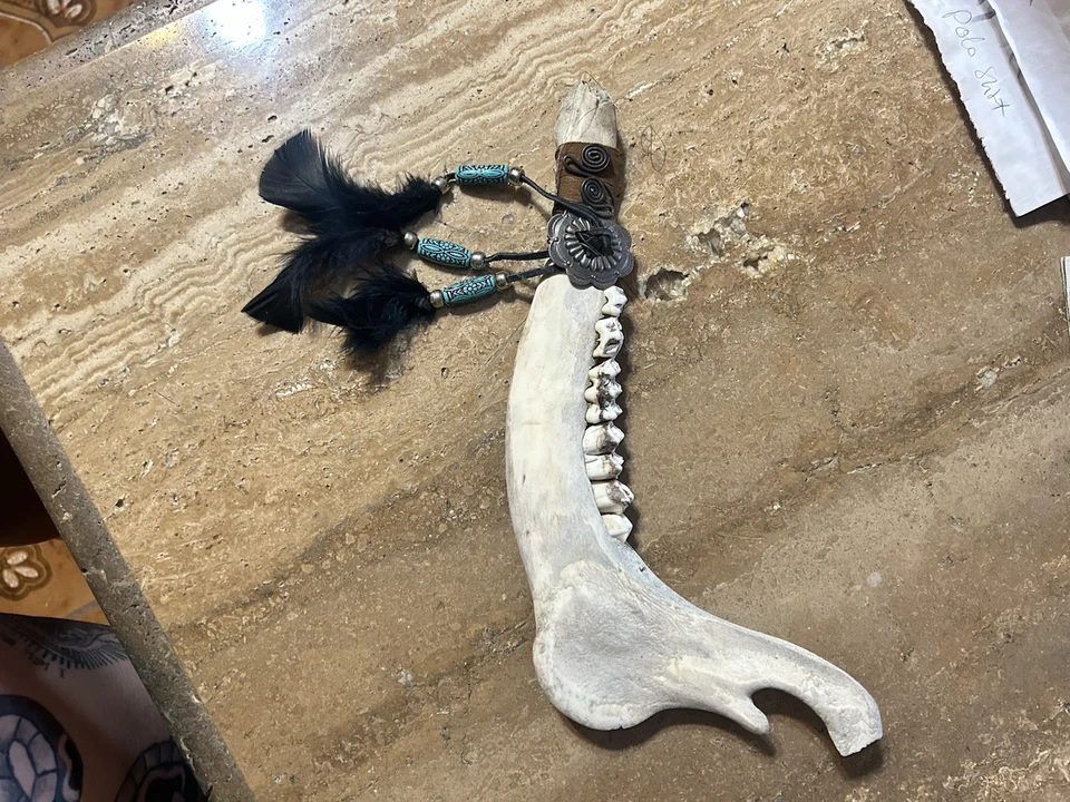 Mandíbula de ciervo real con dientes y adorno occidental decoración de cuentas de plumas Foto 1 de 4