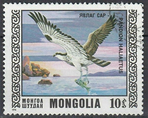Mongolia estampada águila pescadora águila pájaro rapador animal naturaleza / 965 - Imagen 1 de 1