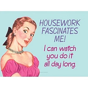 Housework Fascinates Me Funny Steel Wall Sign - Picture 1 of 1