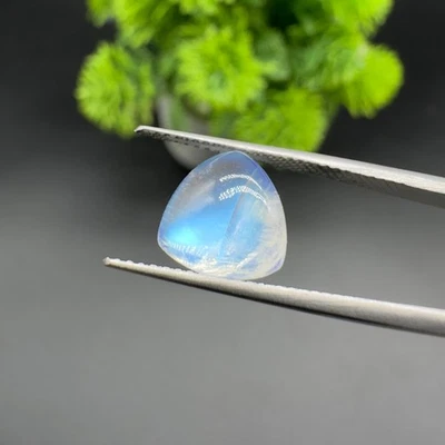 Blue Flashy Natural Rainbow Moonstone Gemstone Trillion Cabochon 3.25 Approx. - Image 1 of 4