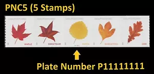 US 5971-5975 5975a Vibrant Leaves postcard rate PNC5 MNH 2025 - Picture 1 of 1