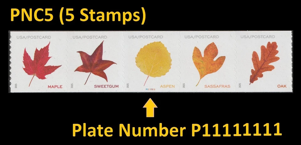 US 5971-5975 5975a Vibrant Leaves postcard rate PNC5 MNH 2025 - Image 1 of 1