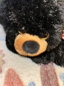 Ty Schwarzbär - Bild 1 von 5