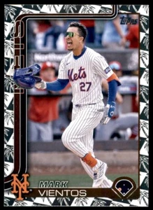 2025 Topps Baseball #174 Mark Vientos Spring Training Foil - Picture 1 of 2