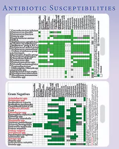 Antibiotic Susceptibility Tables (Antibiogram) Lanyard Reference Card - Picture 1 of 3