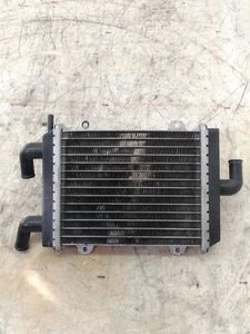 RADIATORE ACQUA PER PEUGEOT SPEEDFIGHT 2 50 DEL 2007 (e47172) - Imagen 1 de 4