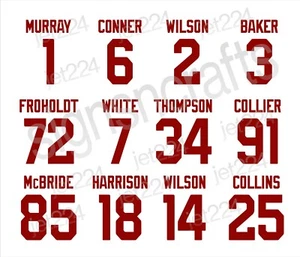 Arizona Cardinals STICKER DECAL 2025 team - Picture 1 of 25