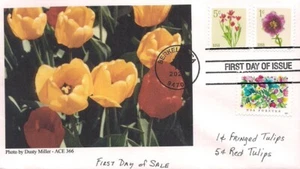 1¢ & 5 Tulip-sheet Stamps- 2024-First Day Cover-ACE Cover - Picture 1 of 1
