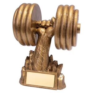 Personalised Weightlifting Bodybuilding Fitness Gym Award Trophy Engraved - Picture 1 of 3