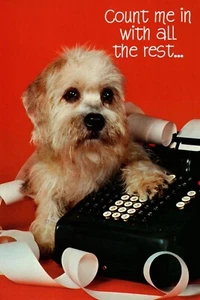 Get Well Soon Accountant Firm Accounting Adding Machine Ambassador Card - Picture 1 of 3