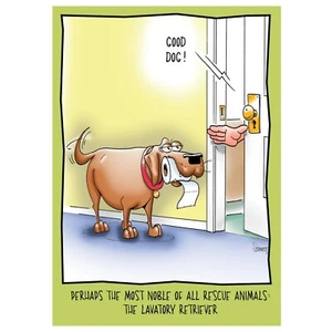 Lavatory Retriever | Funny Birthday Card Him Man Her She Woman Friend  RB - Picture 1 of 2