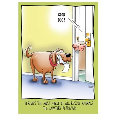 Lavatory Retriever | Funny Birthday Card Him Man Her She Woman Friend  RB - Image 1 of 2