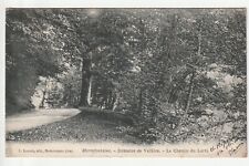 MORTEFONTAINE - Oise - CPA 60 - Domaine de Valliere - Chemin du Larri