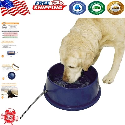 Cuenco térmico exterior con calefacción para perros - 96 onzas en azul para hidratación de invierno Foto 1 de 4