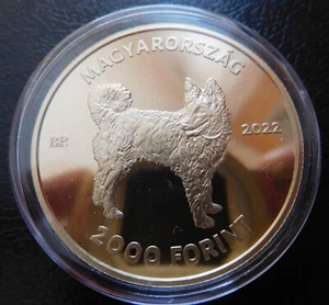 UNGHERIA / 2000 FIORINO / CANE UNGHERESE - MUDI 2./ 2022 - Foto 1 di 2