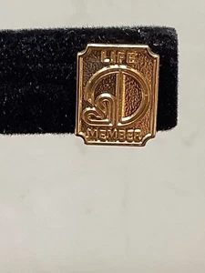 RARE solid 14k yellow gold Aion Life Member pin w/original case 3g - Picture 1 of 7