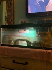 Aquarium Tank Kit Reptile Turtle Frog Lizard Snake Exo Animal Habitat