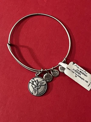 Alex and Ani Because I Love You  GODDAUGHTER Charm Bracelet  Silver ~ NWT! Foto 1 de 3