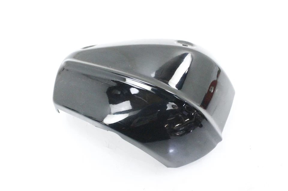 1997 ROYAL STAR RIGHT SIDE COVER 2 - Image 1 of 4