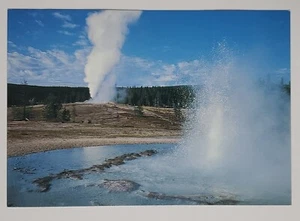 Postcard SAWMILL AND CASTLE GEYSERS Yellowstone National Park Wyoming USA - Picture 1 of 5
