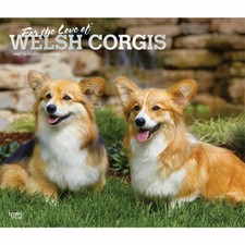 Welsh Corgis Wall Calendar