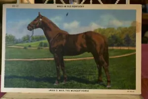 KE-16 GEZÜCHTET IM ALTEN KENTUCKY MAN O' WAR DAS WUNDERPFERD 1958 Vintage Postkarte - Bild 1 von 4