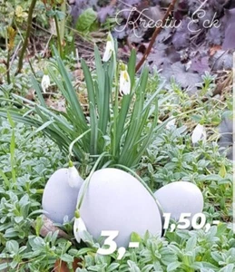 Betoneier Set Osterdeko Handgemacht Ostern Betondeko - Bild 1 von 1