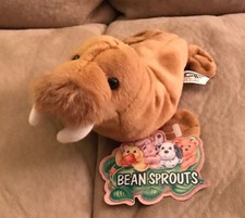 Wally The Walrus Bean Sprouts Bean Filled Plush Doll 8" Long Stuffed Animal Nwt