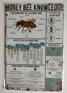 Vtg Honey Bee Knowledge Wall Art Rustic Rare Metal Sign Poster Brand New - Picture 1 of 5