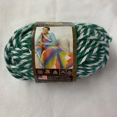 1 Skien Lion Brand HOMETOWN USA, Spartans, 4oz SUPER BULKY Yarn Green & White - Image 1 of 2