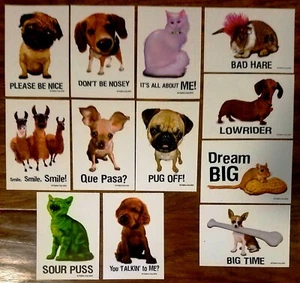 Juego completo de 12 calcomanías de máquina expendedora de animales lindos y divertidos para tienda de mascotas nuevas - Imagen 1 de 2