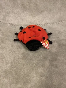 TY Beanie Baby Lucky The Ladybug with Spots Plush Toy, RARE - Picture 1 of 5