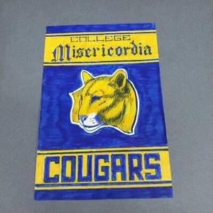 Misericordia Cougars Dallas Pennsylvania 4x6 Scrapbook Shadowbox Artwork Art - Picture 1 of 1