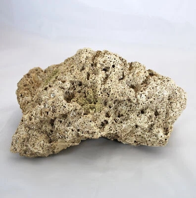 Riffgestein,22 x16,5 x11,5 cm,Felsen Stein Nachbildung, Meerwasser Aquarium Deko - Bild 1 von 4