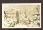 Rppc Phoenix Arizona Desert Cactus Cacti Vintage Real Photo Postcard