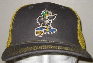 Gorra de béisbol Madison Mallards nueva con logotipo 2 colores ligas menores - Imagen 1 de 2