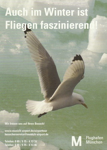 Bild 1 von 2