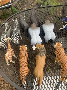 African Animals - Picture 1 of 3