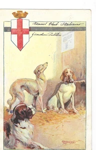 postal - Italia - Kennel Club italiano pintura de 3 perros publicada 1901 - Imagen 1 de 3