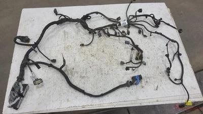 Arnés de cables del motor Lincoln MKC 2015 1-15,2,3 L,6 velocidades automático, AWD Foto 1 de 4