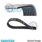 New V-Ribbed Belts For Daf Volvo Xf 95 Xe 280 C Xe 315 C Xe 355 C Xe 390 C Dayco