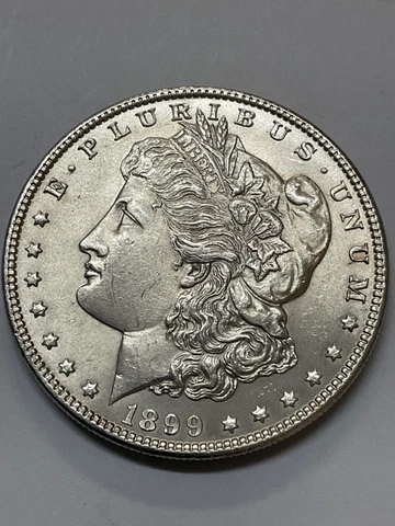 1899 P MORGAN SILVER DOLLAR $1 Cover