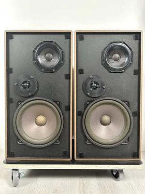 Coppia di altoparlanti vintage T100 in ottime condizioni tecniche! - Immagine 1 di 4