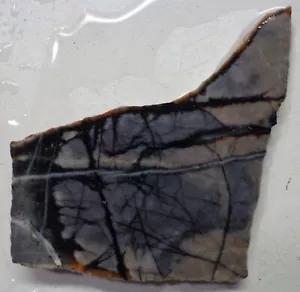 WRG- Losa de jaspe Picasso 23 gramos Utah Lapidario Antiguo Stock Mármol - Imagen 1 de 4