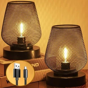 2 Pack Battery Operated Lamp Rechargeable Outdoor Table Lamp Metal Cage with ... - Picture 1 of 7