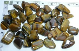 OJO DE TIGRE DORADO Piedra de caída pulida artesanía de roca curar 6 piedras oro ojo de tigre - Imagen 1 de 1