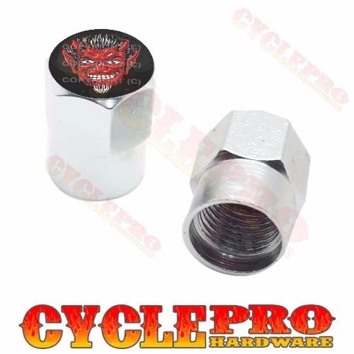 2 Tapas de válvula personalizadas de aluminio Billet plateadas hexagonales para motocicleta - 1% ER RED DEVIL Foto 1 de 1